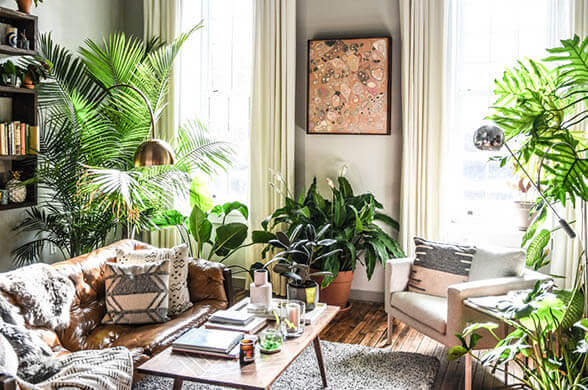 Pick Some Plants - Inspiring Home Decor Ideas - Living Style Bits