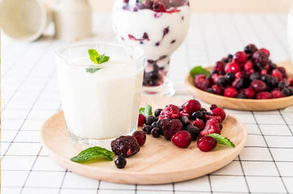 Greek Yogurt - Immunity Boosting Foods Items at Home - Living Style Bits
