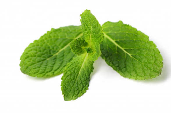 Mint - Immunity Boosting Foods Items at Home - Living Style Bits