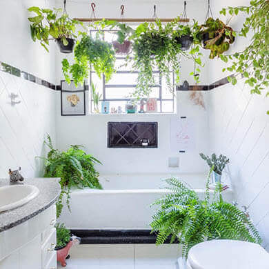 Plants - Ninja Techniques To Revamp Your Small Bathroom In A Budget- Living Style Bits